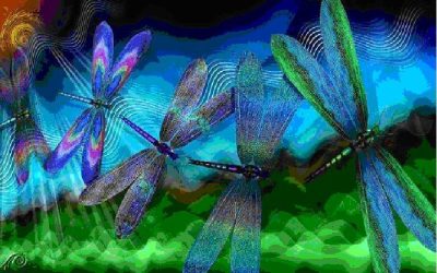 Dragonfly Medicine Is The Principal Of Vibration