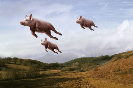 See there's no such thing! Picture taken from our backyard on November 19, 2012We can not confirm nor deny that pigs can fly. That's on a need to know basis. But they are FDA Approved