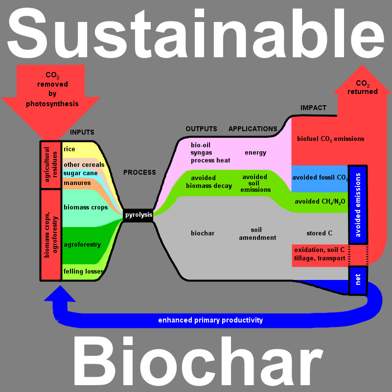 Biochar A Sustainable practice that could save out planet. 