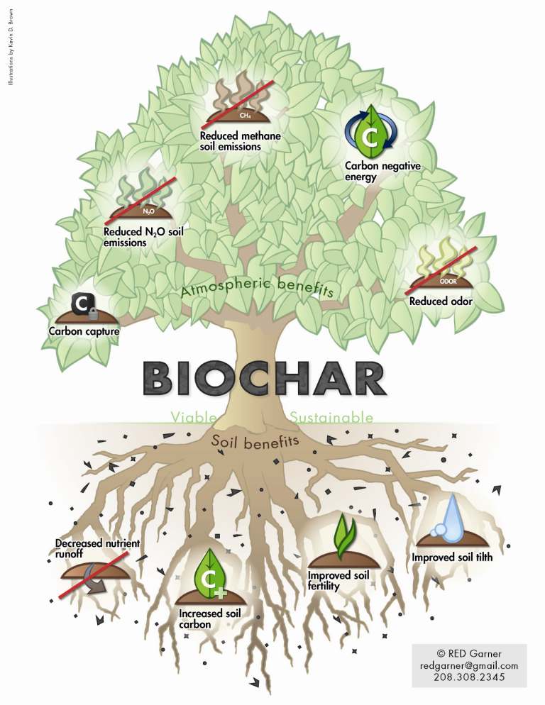 Biochar How it works