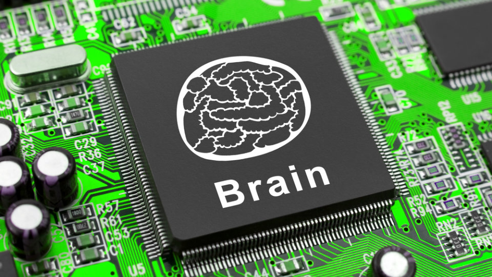 Computer Human Is our Brain or our Heart the CPU?