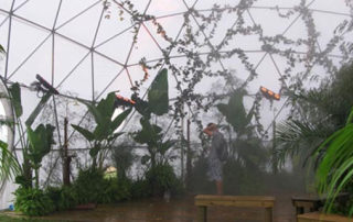 Dome Greenhouses