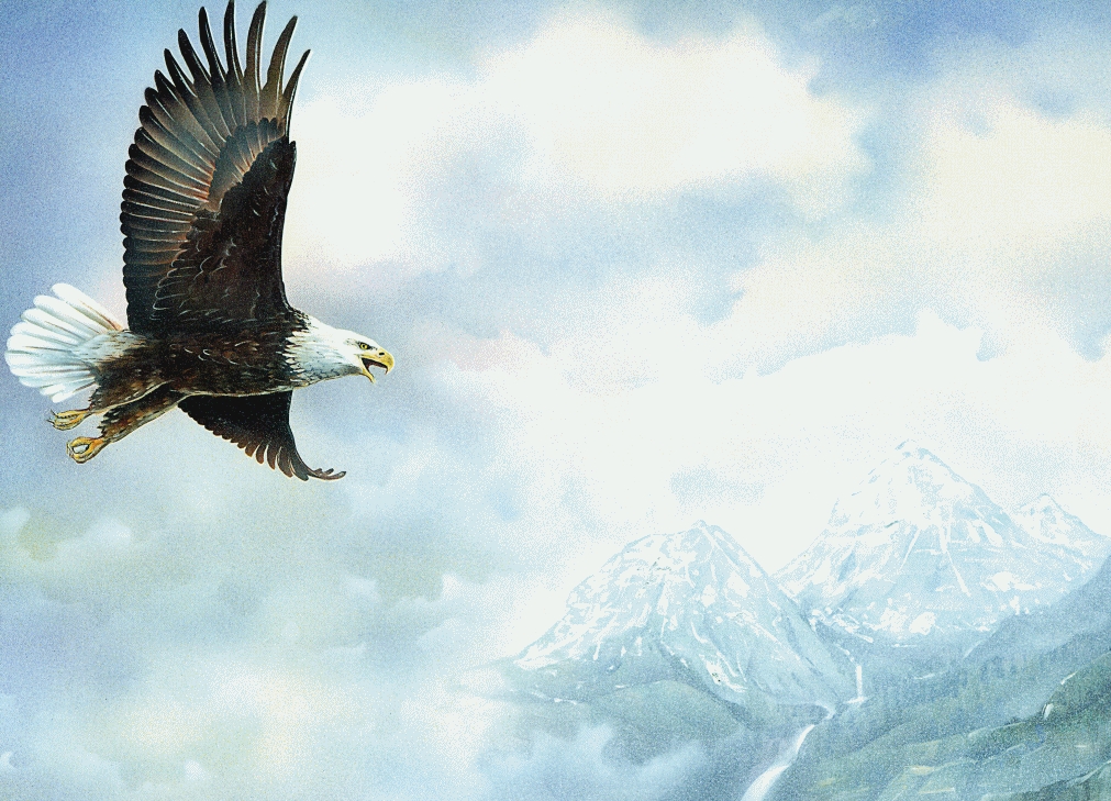 Eagle soaring in the clouds