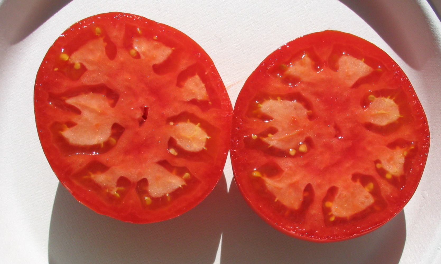 Saving Heirloom Tomato Seeds